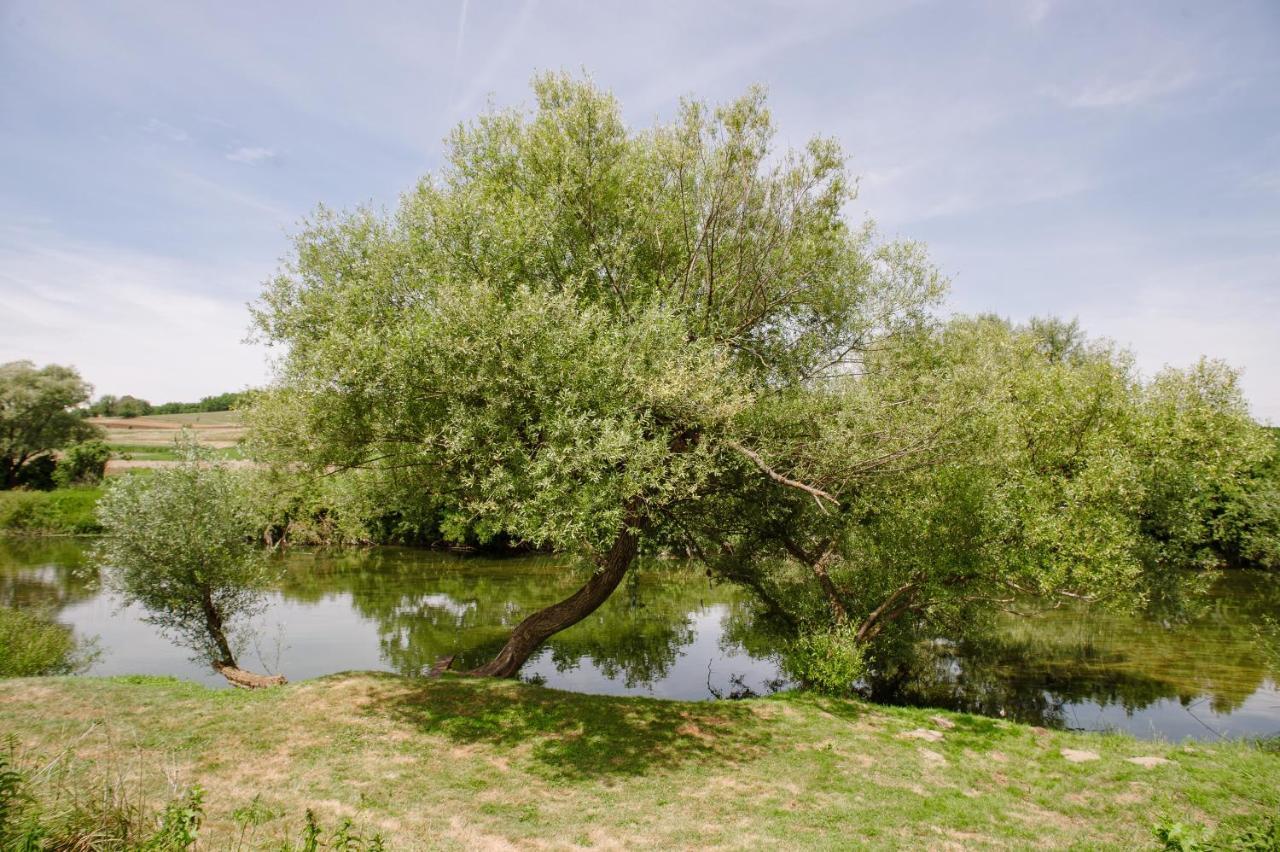 Traditional Houses Korana River Károlyváros Kültér fotó